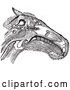 Vector Clip Art of a Retro Horse Head Featuring Muscles Tendons and Bones by Picsburg