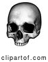 Vector Clip Art of a Retro Human Skull in Black and White by AtStockIllustration