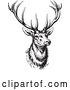 Vector Clip Art of Buck Deer by BestVector