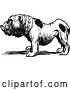 Vector Clip Art of Bulldog by Prawny Vintage