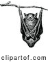 Vector Clip Art of Retro Bat Hanging in a Tree by Prawny Vintage