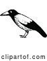 Vector Clip Art of Retro Black Bird by Prawny Vintage