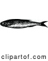 Vector Clip Art of Retro Bleak Fish by Prawny Vintage