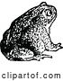 Vector Clip Art of Retro Bull Frog 2 by Prawny Vintage