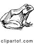 Vector Clip Art of Retro Bull Frog 3 by Prawny Vintage