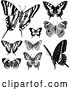 Vector Clip Art of Retro Butterflies 2 by BestVector