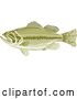 Vector Clip Art of Retro Cartoon Green Largemouth Bass Fish in Profile by Patrimonio