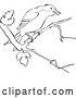 Vector Clip Art of Retro Cartoon Mockingbird in a Tree Line Drawing by Picsburg
