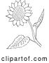 Vector Clip Art of Retro Cartoon Sunflower and Leaves Line Drawing by Picsburg