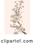 Vector Clip Art of Retro Cherry Blossom Branch on Pastel Pink by BNP Design Studio
