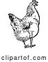 Vector Clip Art of Retro Chicken by Prawny Vintage