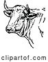 Vector Clip Art of Retro Cow Head by Prawny Vintage
