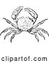 Vector Clip Art of Retro Crab by Prawny Vintage