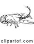 Vector Clip Art of Retro Crayfish by Prawny Vintage