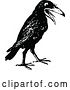 Vector Clip Art of Retro Crow by Prawny Vintage