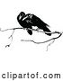 Vector Clip Art of Retro Crows on a Branch by Prawny Vintage