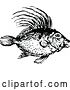 Vector Clip Art of Retro Dory Fish by Prawny Vintage