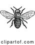 Vector Clip Art of Retro Drone Bee by Prawny Vintage