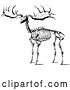 Vector Clip Art of Retro Elk Skeleton by Prawny Vintage