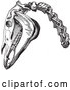 Vector Clip Art of Retro Engraving of Horse Head and Neck Bones in Black and White by Picsburg