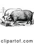 Vector Clip Art of Retro Farm Pigs Eating by Prawny Vintage