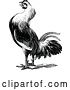Vector Clip Art of Retro Farm Rooster 2 by Prawny Vintage