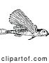 Vector Clip Art of Retro Flying Fish by Prawny Vintage