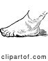 Vector Clip Art of Retro Foot 2 by Prawny Vintage