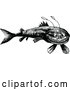 Vector Clip Art of Retro Funny Fish by Prawny Vintage