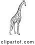 Vector Clip Art of Retro Giraffe by BestVector