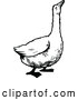Vector Clip Art of Retro Goose by Prawny Vintage