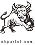 Vector Clip Art of Retro Grayscale Woodcut Charging Angry Bull by Patrimonio