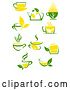Vector Clip Art of Retro Green and Yellow Tea Cups and Pots with Leaves 4 by Vector Tradition SM