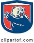 Vector Clip Art of Retro Grizzly Bear Roaring and Slashing with His Paw in a Red White and Blue Shield by Patrimonio