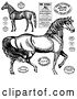 Vector Clip Art of Retro Horses and Post Stamps by BestVector