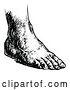 Vector Clip Art of Retro Human Foot 1 by Prawny Vintage