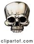 Vector Clip Art of Retro Human Skull by AtStockIllustration