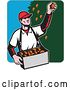 Vector Clip Art of Retro Male Fruit Picker Picking Oranges from a Tree by Patrimonio