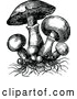 Vector Clip Art of Retro Mushrooms and Roots by Prawny Vintage