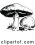 Vector Clip Art of Retro Mushrooms by Prawny Vintage