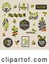 Vector Clip Art of Retro Natural Badges and Labels on Beige by Elena