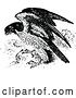 Vector Clip Art of Retro Peregrine Falcon by Prawny Vintage