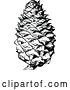 Vector Clip Art of Retro Pine Cone by Prawny Vintage