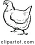 Vector Clip Art of Retro Plump Hen by Prawny Vintage