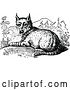 Vector Clip Art of Retro Resting Bobcat by Prawny Vintage