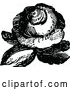 Vector Clip Art of Retro Rose 3 by Prawny Vintage