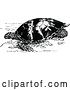 Vector Clip Art of Retro Sea Turtle by Prawny Vintage