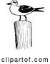 Vector Clip Art of Retro Seagull on a Post by Prawny Vintage