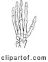 Vector Clip Art of Retro Skeleton Hand by Prawny Vintage