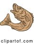 Vector Clip Art of Retro Sketched Brown Jumping Rockfish by Patrimonio